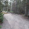 More mud holes. This ones too deep to go through. Most of the trail is pretty dry except for a few spots like this.