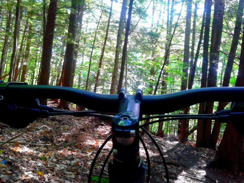 cockpit view of the lux trails at Cady Hill Forest, Stowe vt