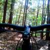 cockpit view of the lux trails at Cady Hill Forest, Stowe vt