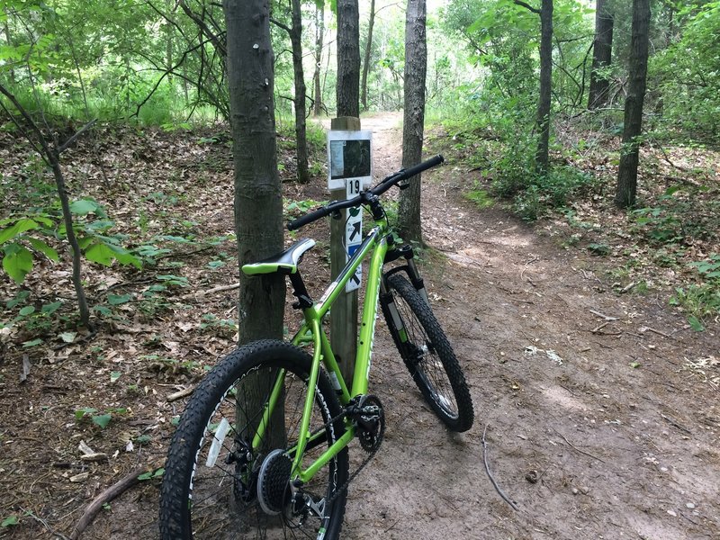 Nearing the end of the Cannonsburg Ski Area Trail.