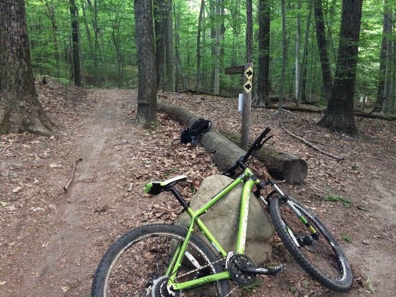 An intersection along the Merrel Trail.