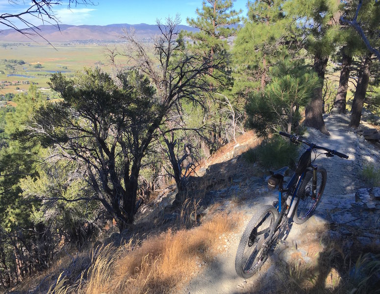 A steep and skinny decent on the Lower Genoa Canyon Trail.