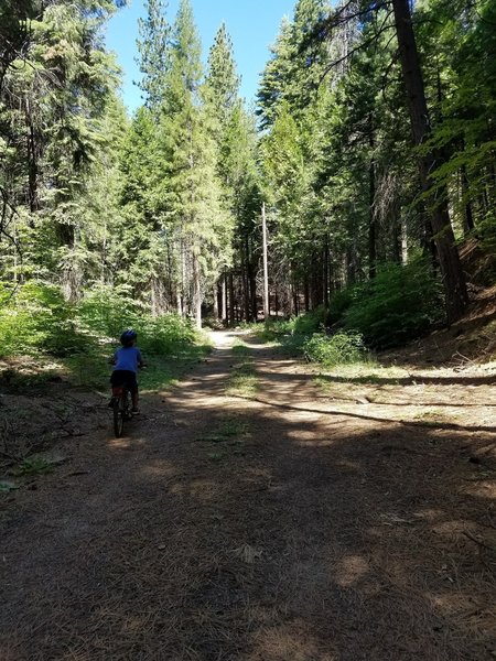 Along a rarely used fire road that offers two easy lanes for side-by-side riding.