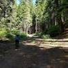 Along a rarely used fire road that offers two easy lanes for side-by-side riding.