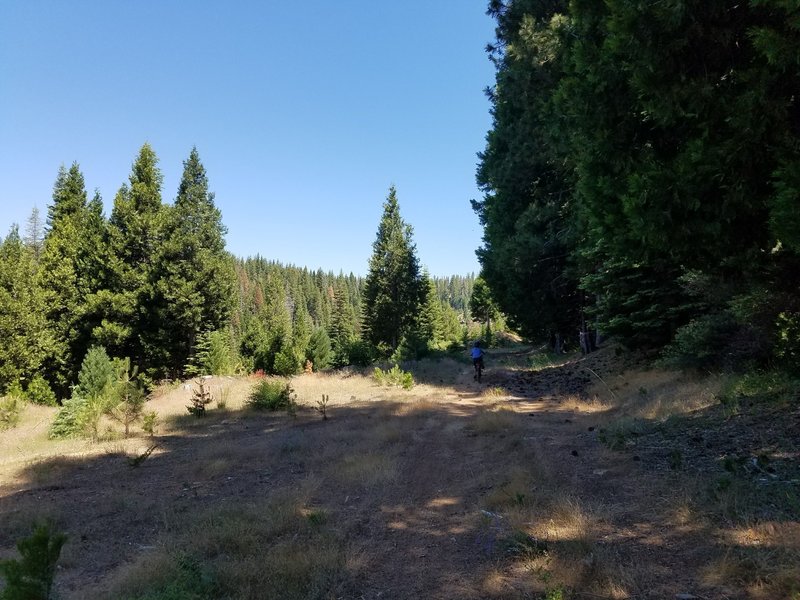 At around 1.9 miles the trail opens up into a meadow. Which makes a  good place for a snack.