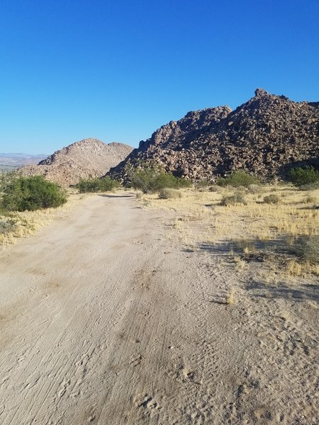 A strictly scenic view of what Joshua Tree has in store.