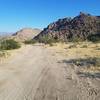 A strictly scenic view of what Joshua Tree has in store.