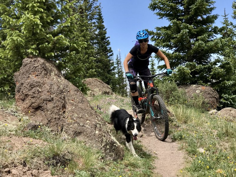 Climbing Middle Frisco with a trail buddy.