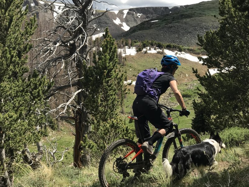 Approaching the tree-line on the Middle Frisco Trail.