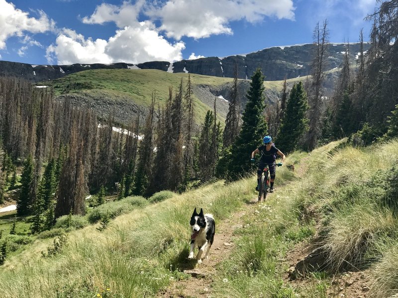 The descent makes a great reward and has every one excited. Descending from San Francisco Lakes.