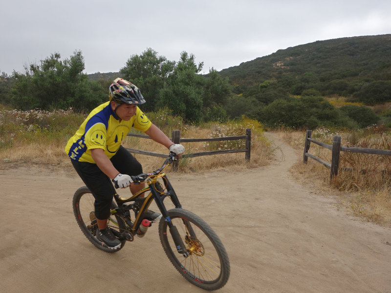 A mountain biker descends the Cobbles Trail.