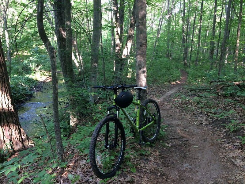 Found a beautiful creek here for a peaceful afternoon in the Cannonsburg State Game Area.