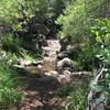 One of many creek crossings under the trees on the Noble Canyon trail. Refreshing!