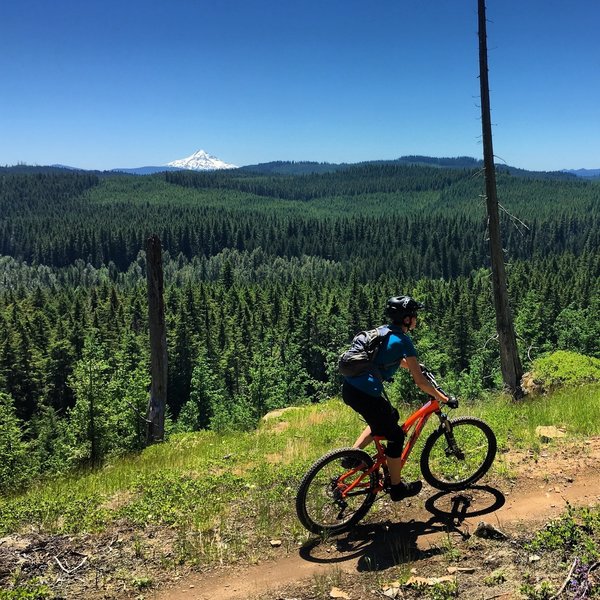 The vistas on the Falls Creek Trail were great, with views of Hood and a great quick view of St  Helens.