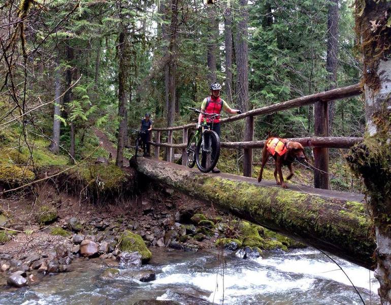 Narrow log bridges are just part of the unique flavor you'll find on the Middle Fork Willamette Trail. Photo credit: Shawn Litson.