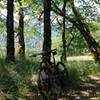 Taking a rest on the way up Tomfoolery. Beware of the ticks, there were so many I wouldn't sit down at any stops throughout the ride.