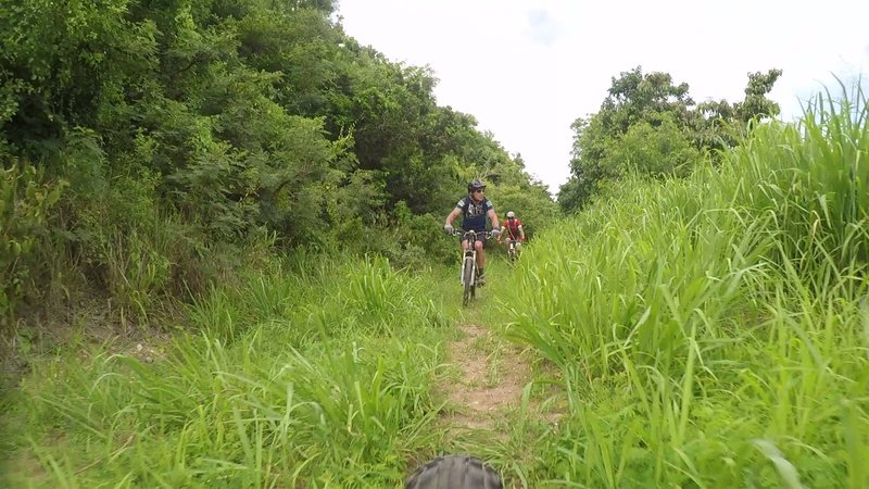 Descending through Siapoc trail. It was a wet spring, so the was growing fast !