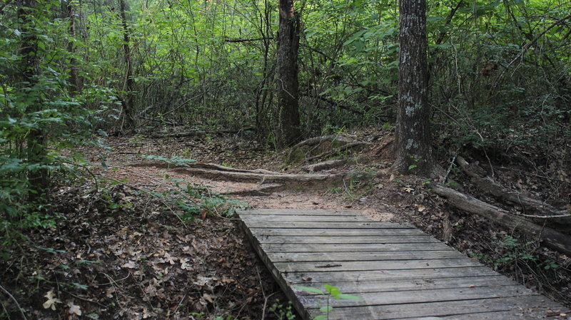 Start of the Lake Bryan East Loop and Roller Coaster.