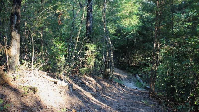 A section of Octopus on the Lake Bryan East Loop.