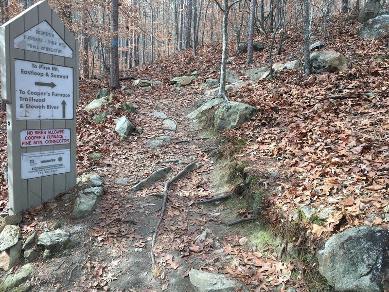 Entrance to the trail. Hang a right after this sign to get on the East Loop. It'll be bidirectional for 200-300 feet, then it will split again.
