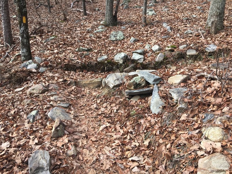 The tight, step-up-style switchbacks continue throughout the loop.