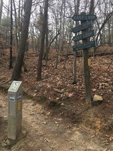 This is where you have the option to continue up to the overlook (recommended!). If you choose not to go on up, you'll begin to descend in front of where you see the "1377 elev" sign in this picture.