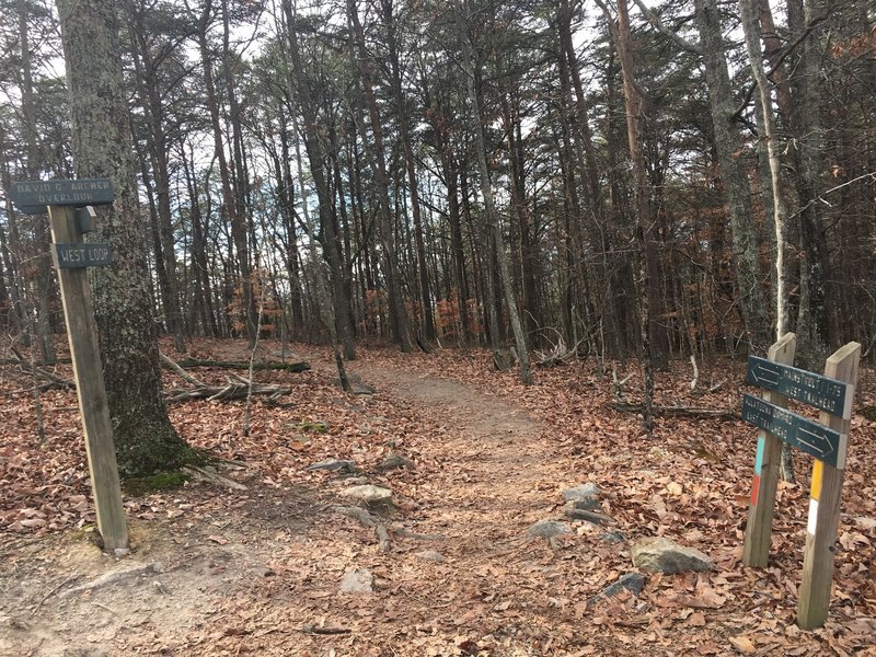 The intersection of the East & West Loops. Stay left to continue up to the "David G. Archer Overlook" as shown on the sign. When descending back to here, be sure to stay to the right to remain on the East Loop.