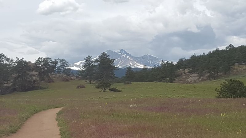 View from top of Nelson Loop.