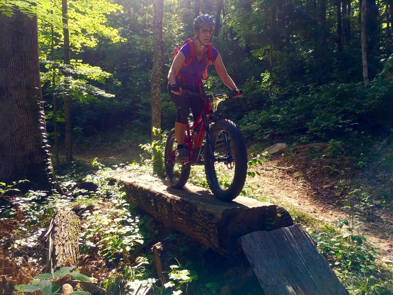 J. enjoys a log ride along the Breeden Ridge Trail.