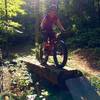 J. enjoys a log ride along the Breeden Ridge Trail.