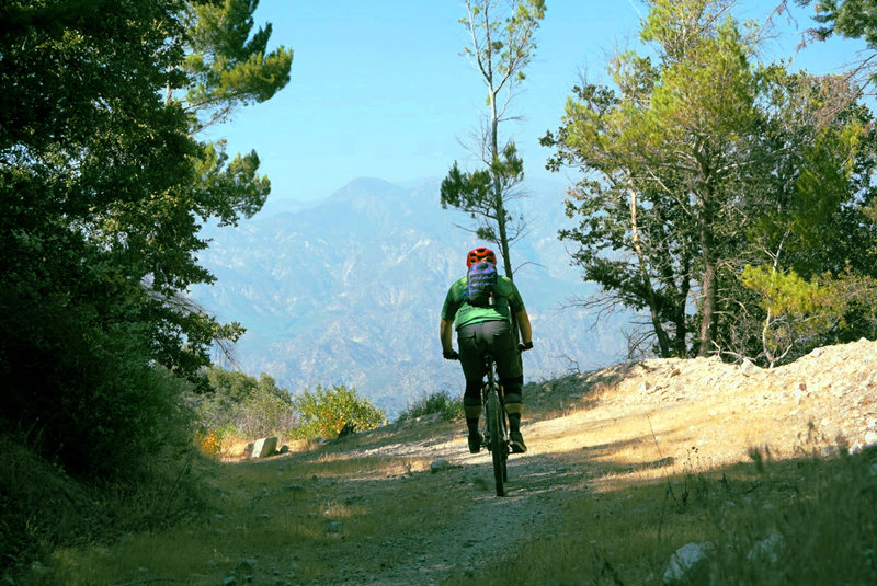 A wide section of Grizzly Flats gives leave to enjoy the vastness of the Angeles National Forest.