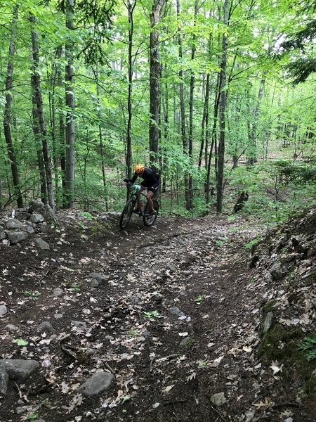 Kevin Bouchard-Hall, winner of the Wilmington Whiteface 100 Race, on the course in the Blueberry Hill trail system in Elizabethtown NY.