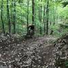 Kevin Bouchard-Hall, winner of the Wilmington Whiteface 100 Race, on the course in the Blueberry Hill trail system in Elizabethtown NY.