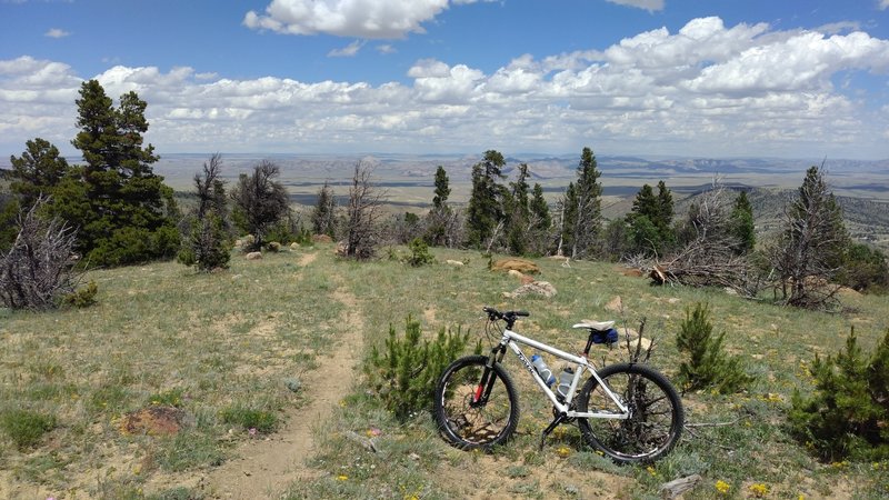 Following the narrow singletrack down to the bottom.