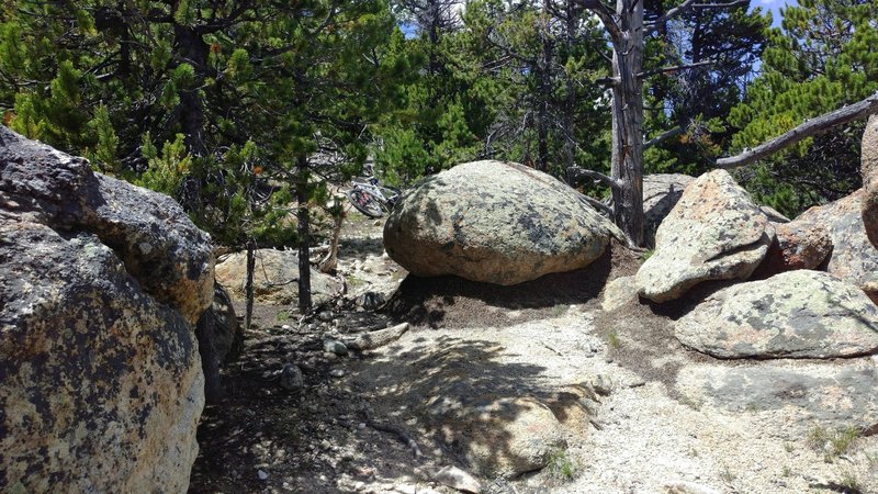 A nice boulder garden provides some fun and chance to choose your line on the fly.