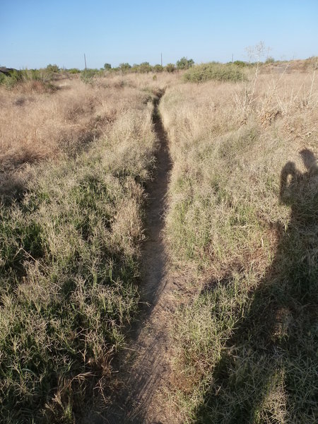 Near the start of the singletrack of the Flume Trail.