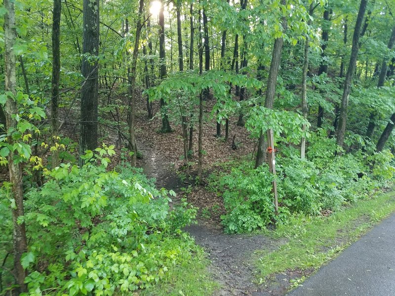 Start of the singletrack and the orange markers.