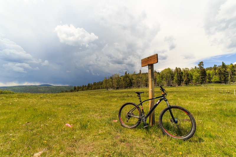 Looking into an approaching storm near the top of Bull Springs Meadow on the Elliot Barker trail. The sign points the ways to Apache Pass and the trailheads on US 64.