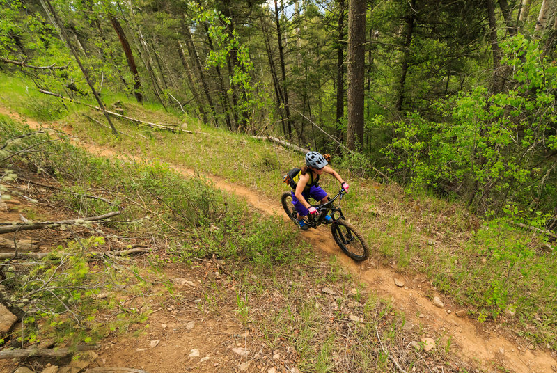 Shari Heier riding in the forest along the Elliot Barker trail. The historic mining roads provide a perfect route for modern mountain biking trails.