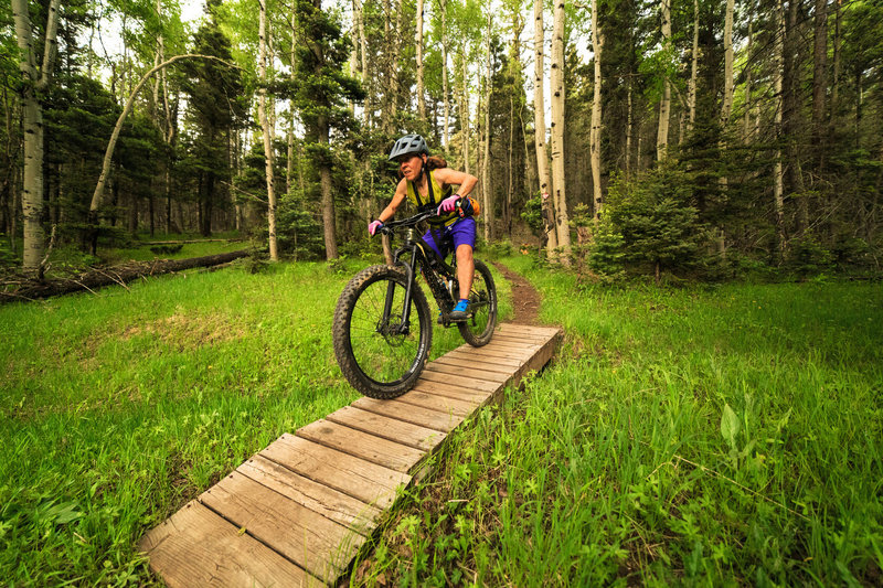 Bridge crossing a drainage on the Coyote trail.  Rider: Shari Heier.