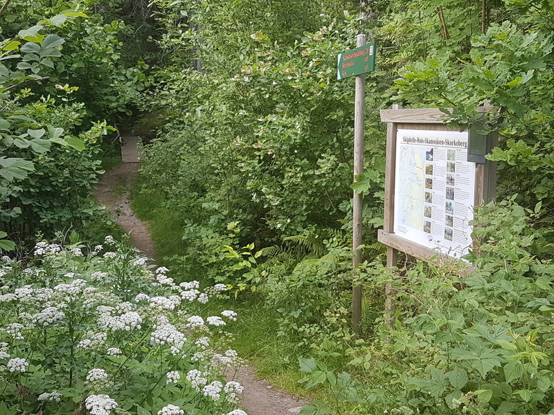 Trailhead at the bottom of Skiphelle Downhill.