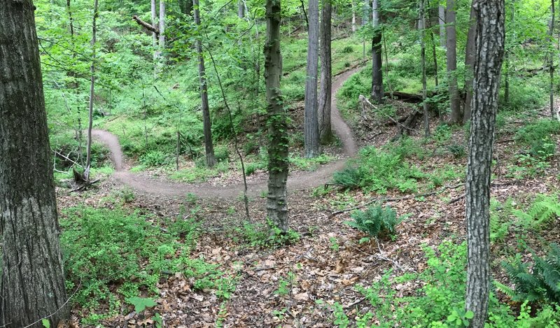 The Pucker Up section of the Rusty Trombone trail.