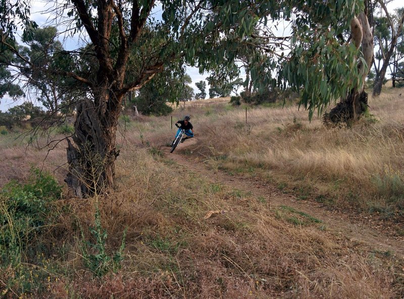 Ripping round one of the low berms on Forks and Spoons.