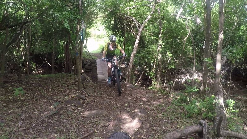 Wooden bridge over the gully on graveyard.