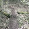 Riding along Bulls Dam. The west trails, little more established.