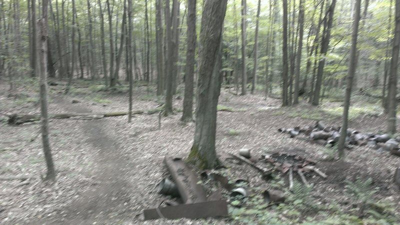 A somewhat blurry shot of maple syrup farming remnants at intersection higher up on Bulls Dam.