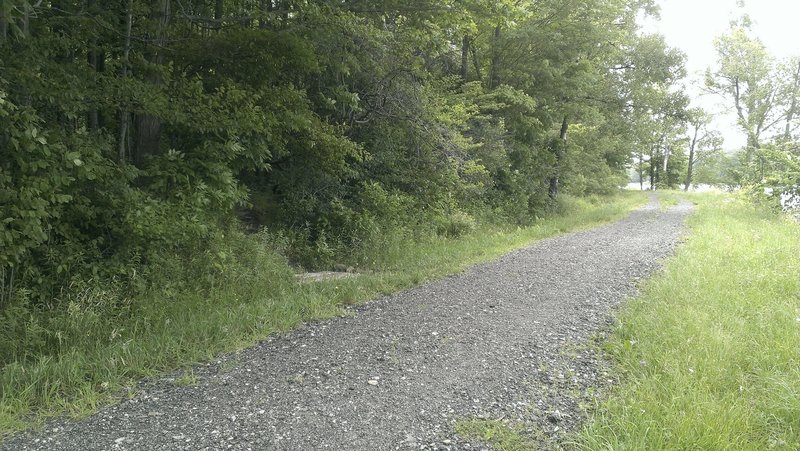 Entry point into the trees.