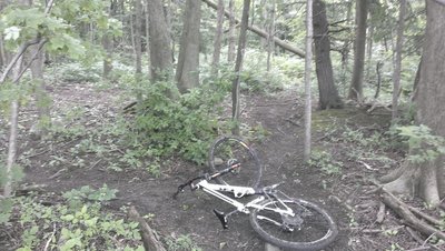 At the start of the Pines, make sure to head left!