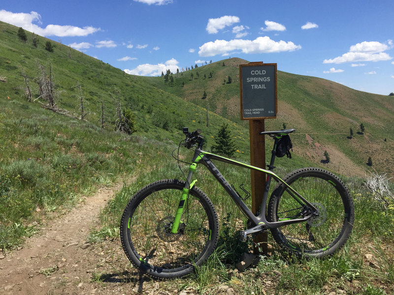 End of the trail (climb) or start of the trail (descent)