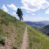 Beware of some coarse and loose gravel along the Cold Springs Trail.